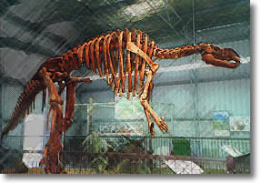 hughie muttaburrasaurus